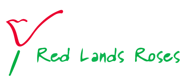Red Lands Roses