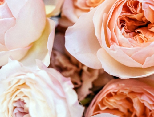 10 Fleurs Peach Fuzz pour vos événements