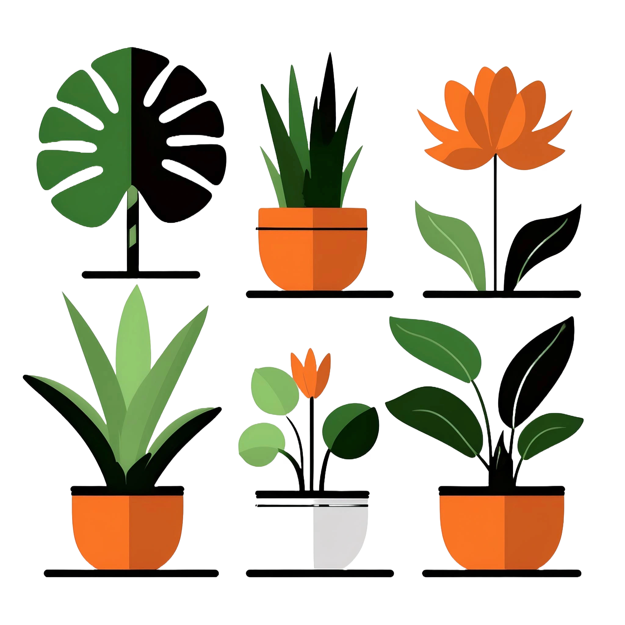 Plantas Diseño