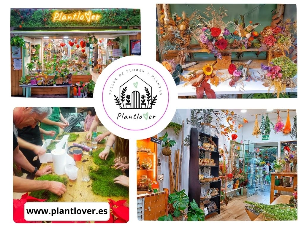 Taller de Flores y Plantas