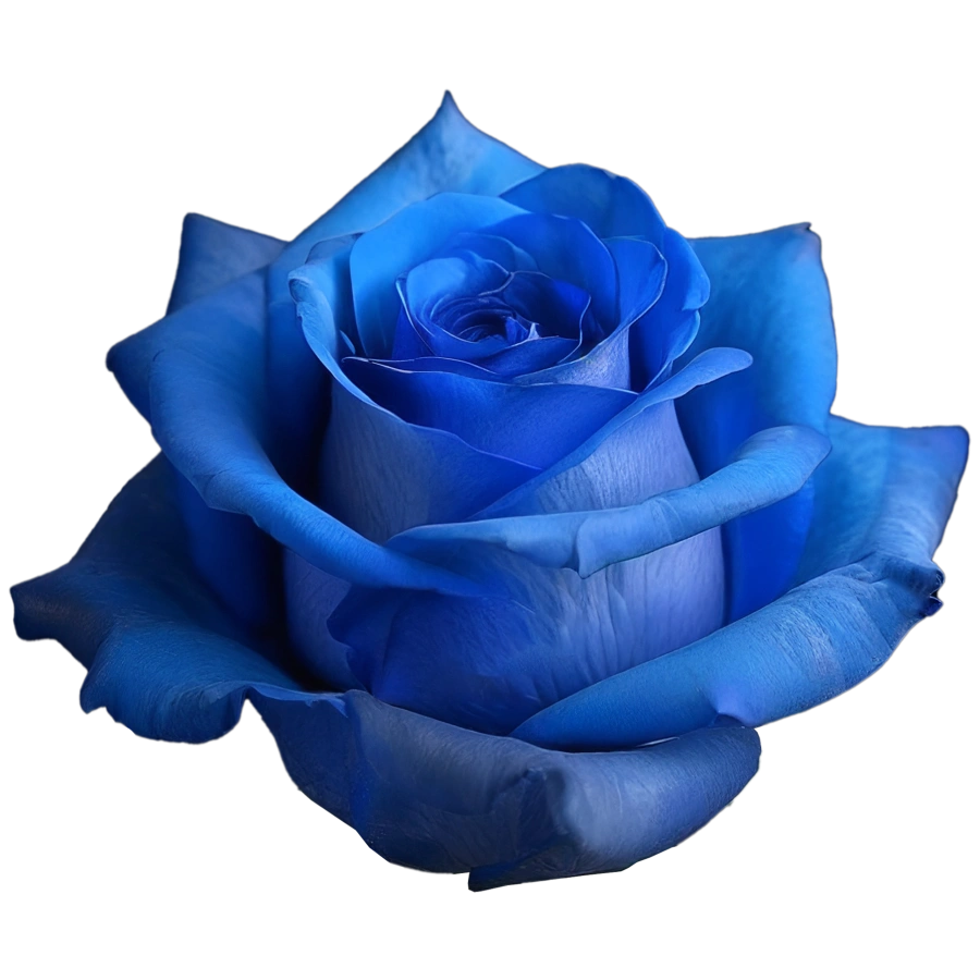 Rosa Azul