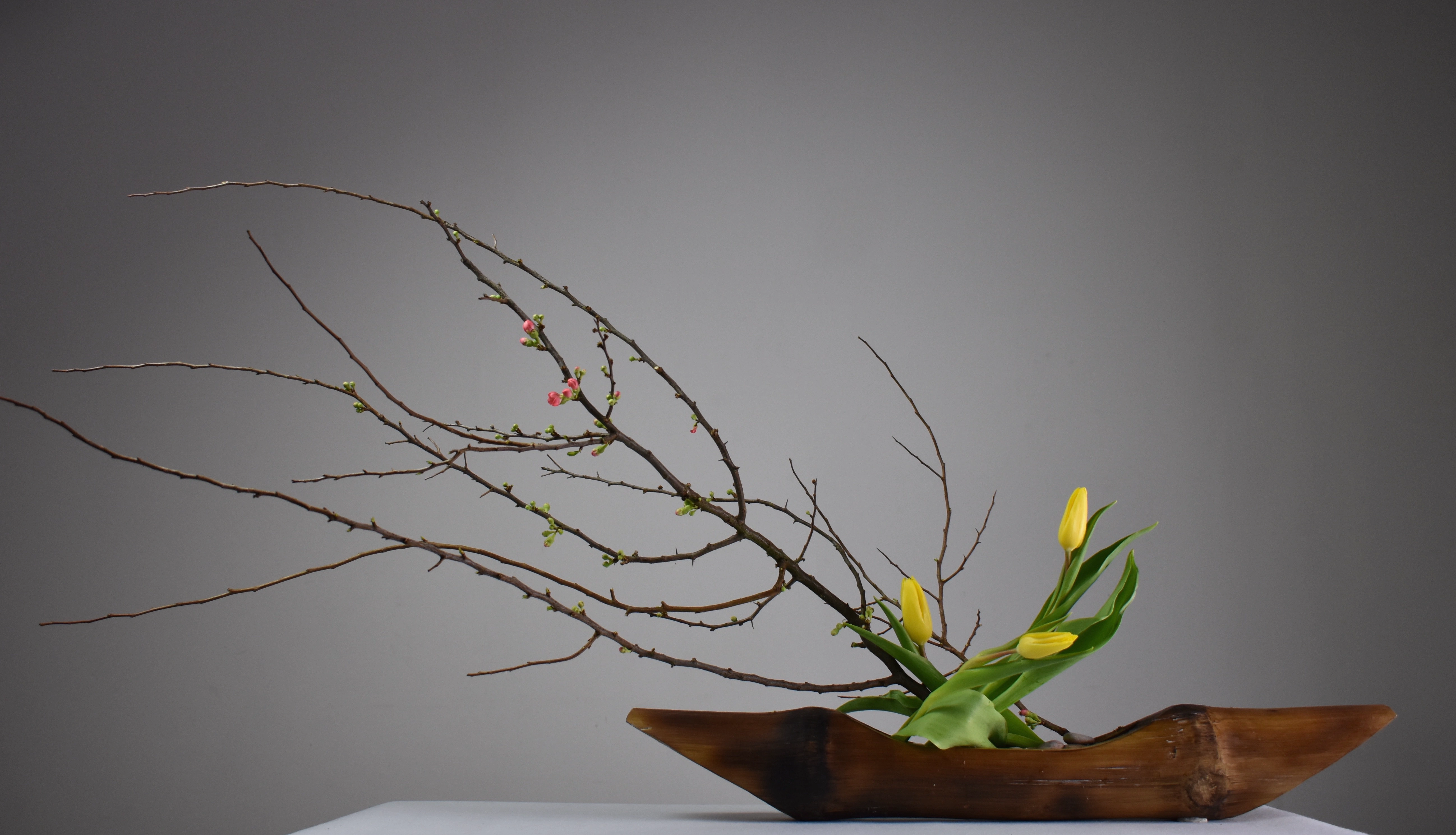 Leslie Weinstein arreglo Ikebana