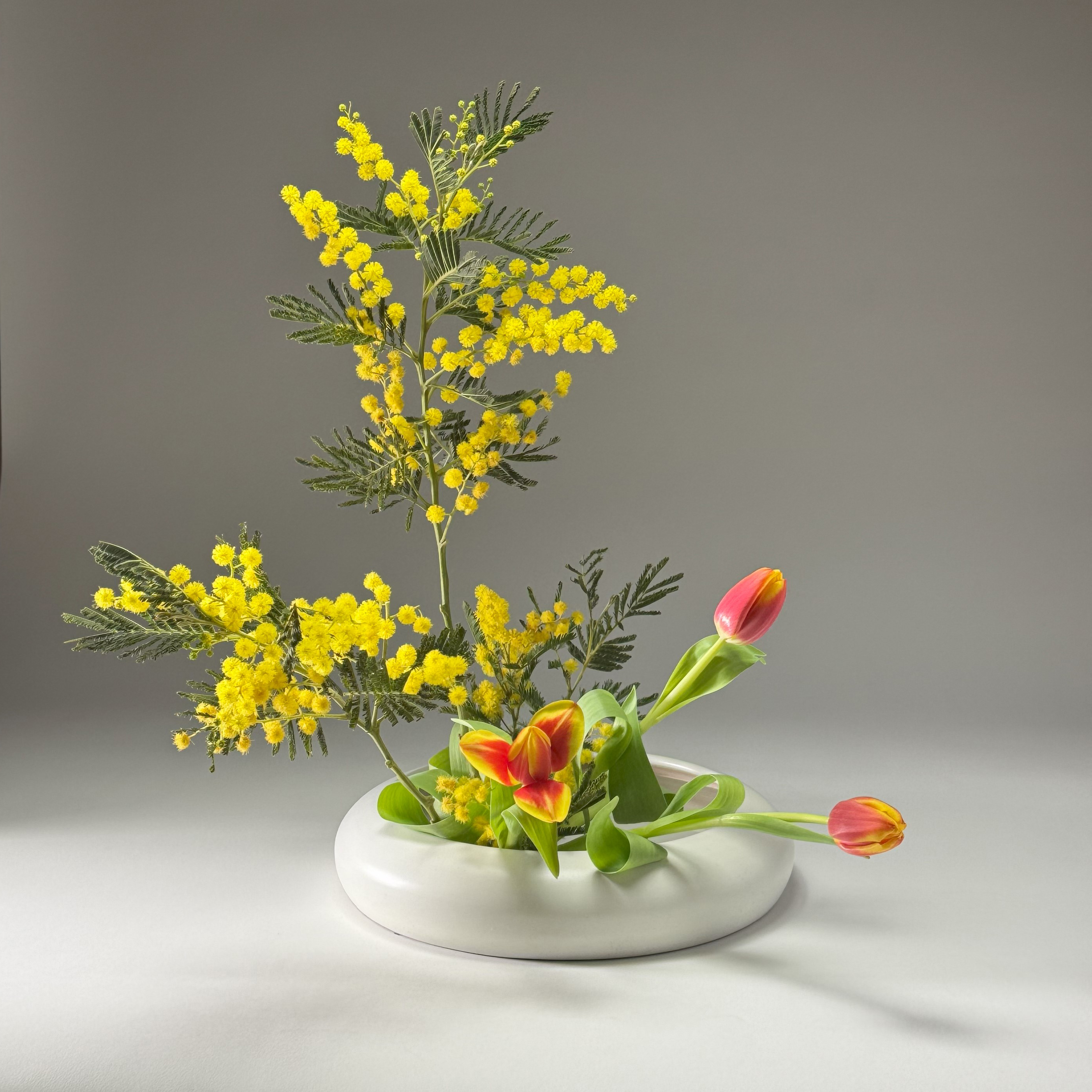 moribana basic upright style with mimosa and tulips