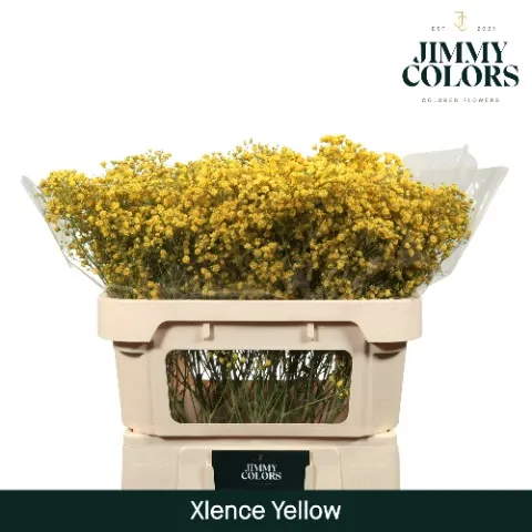 Paniculata Amarilla 20 gr