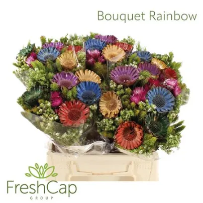 Bqt Mix Rainbow