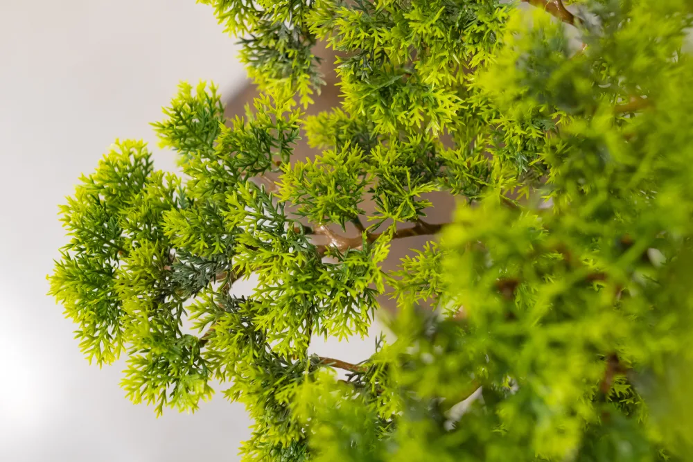 Detalle Bonsai Artificial Hiperealista Detalle Bonsai Artificial Hiperealista
