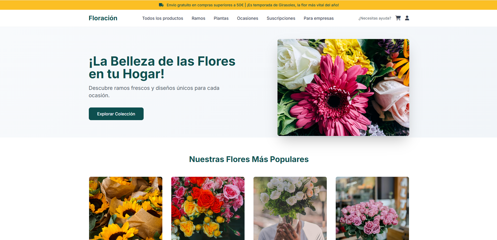 Captura de ecomerce de ejemplo