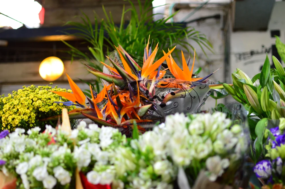 beautiful-shot-of-colorful-sharp-flowers-at-a-flowershop Flores de Strelitzia (Ave del Paraíso) de color naranja intenso expuestas para la venta en una floristería junto a otras variedades de flores.