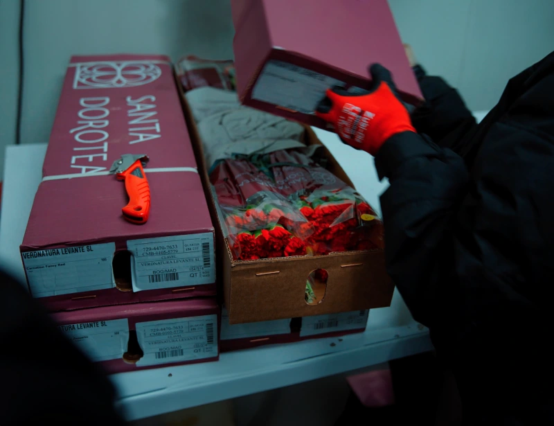 Claveles y flores preservadas de la marca Santa Dorotea.