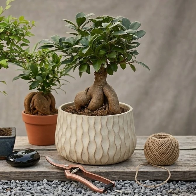 Mejores plantas para preparar floristería Día del Padre