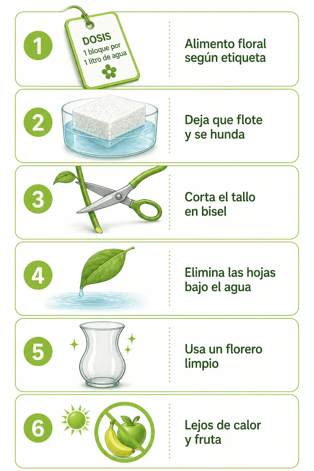 Checklist ilustrado con seis pautas de cuidado diario de flor cortada en floristería: dosificación del alimento floral, empapado correcto de la espuma, corte de tallos en bisel, retirada de hojas sumergidas, uso de jarrones limpios y protección frente al calor y la fruta madura.