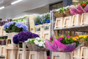 cta-catalogo-verdnatura Flores y plantas para floristas profesionales en Verdnatura